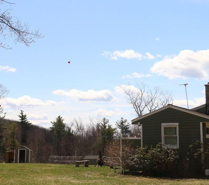 Balloon from Great Woods Road in Otis.png